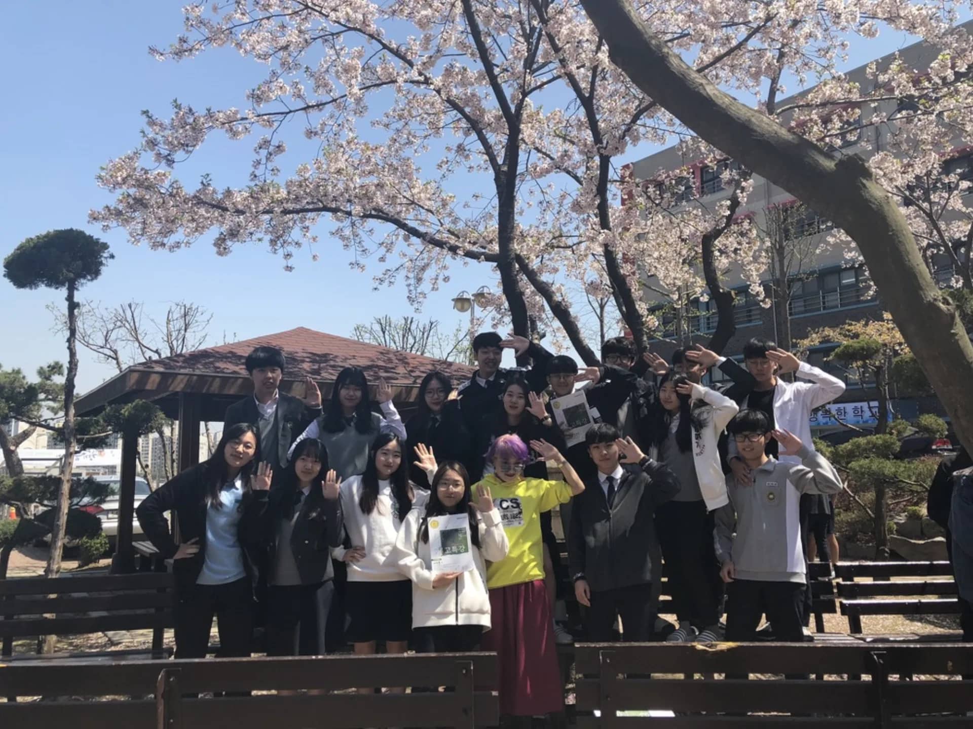 벚꽃 아래에서 찍은 학생들 단체 사진